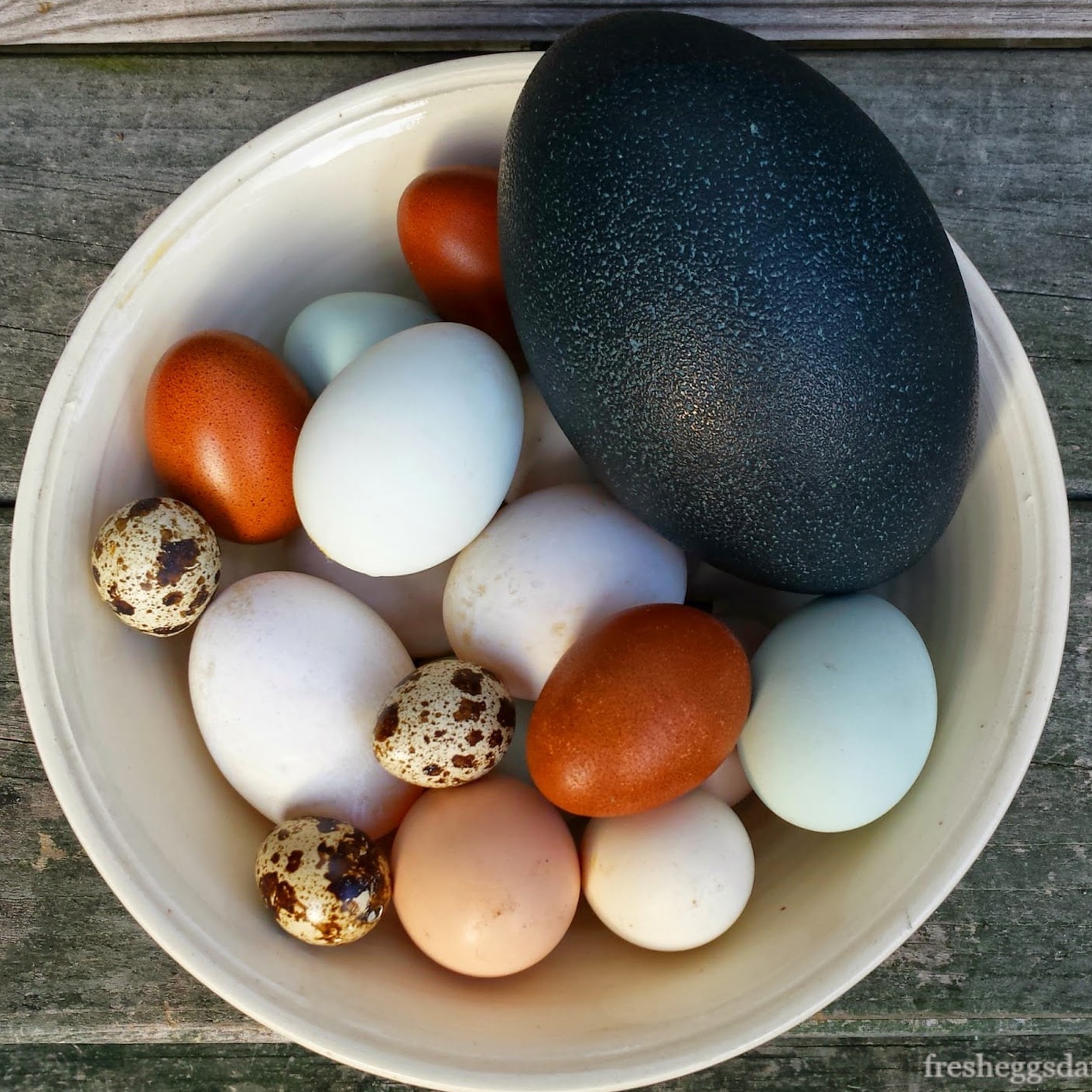 Гадание на яйцах — предсказание будущего с помощью яиц